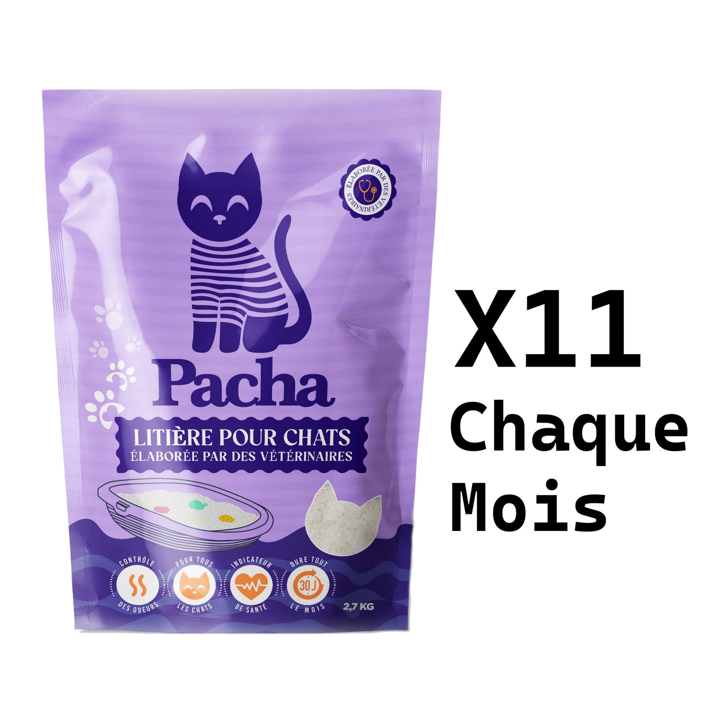 11 katten
