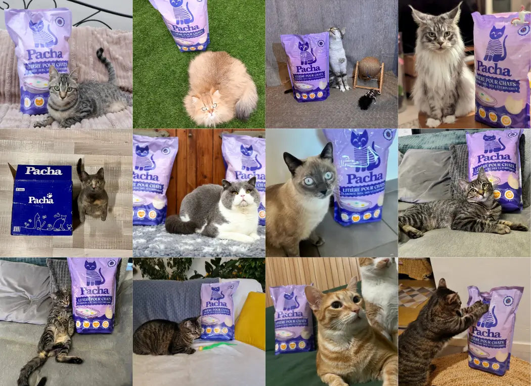 Mozaïek van klantfoto's: katten bij hun zak Pacha-kattenbakvulling