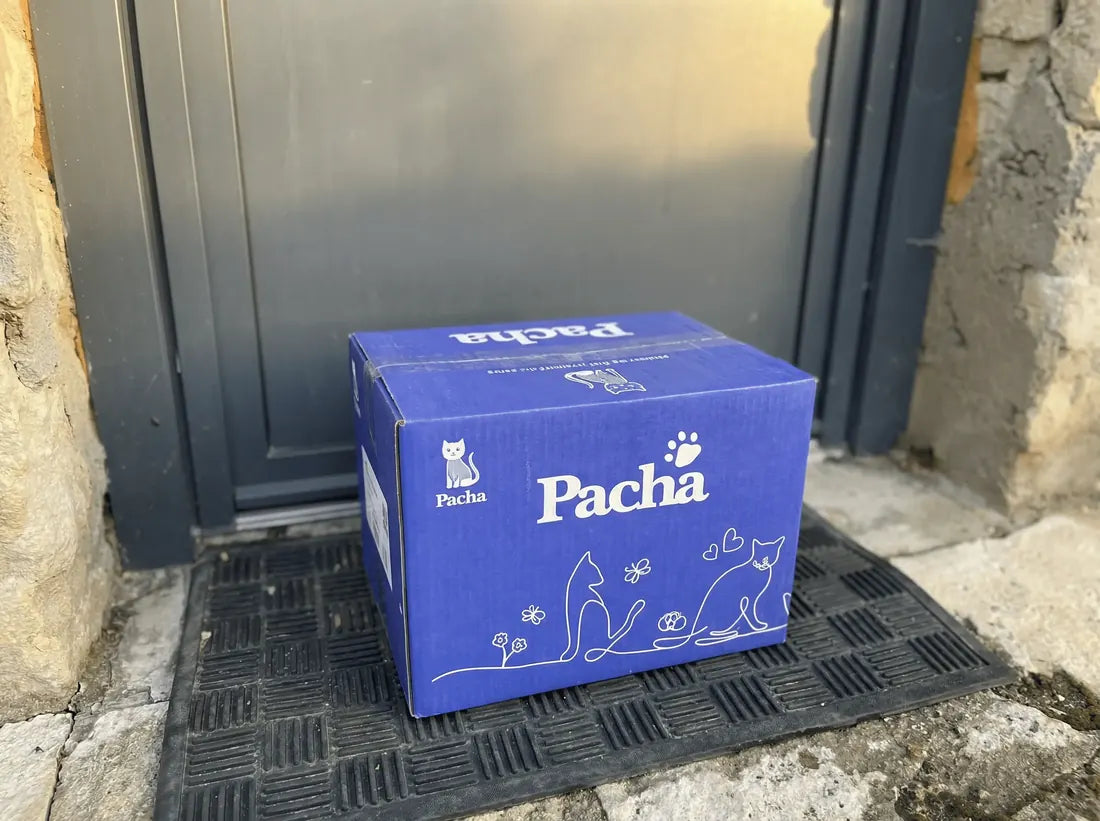 Pacha-doos op de stoep