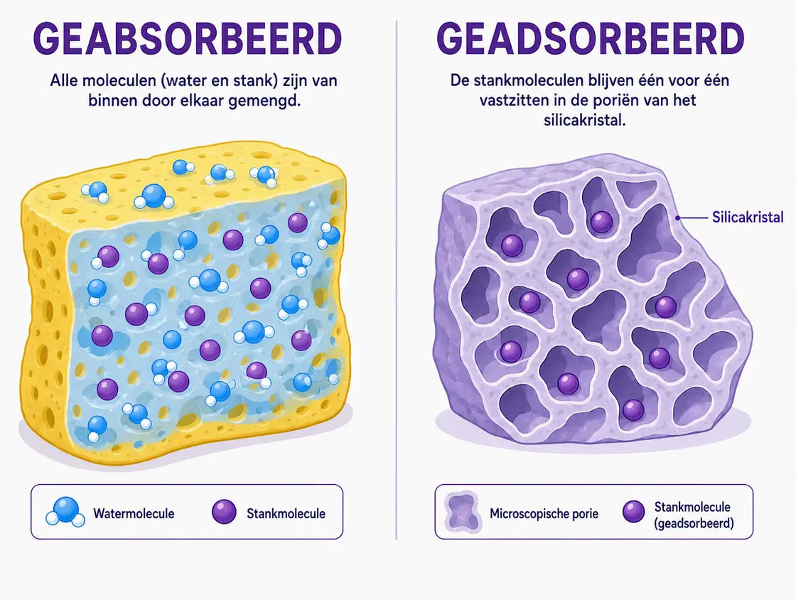 Schema: links een spons waarin water en stankmoleculen door elkaar gemengd zitten (geabsorbeerd), rechts een silicakristal met poriën die de stankmoleculen één voor één vasthouden (geadsorbeerd)